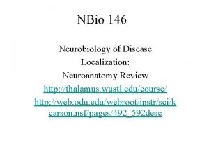 NBio 146 Neurobiology of Disease Localization Neuroanatomy Review