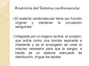 Anatoma del Sistema cardiovascular El sistema cardiovascular tiene