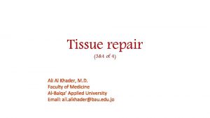 Tissue repair 34 of 4 Ali Al Khader