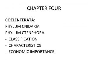 CHAPTER FOUR COELENTERATA PHYLUM CNIDARIA PHYLUM CTENPHORA CLASSIFICATION