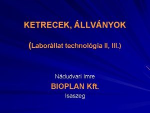 KETRECEK LLVNYOK Laborllat technolgia II III Ndudvari Imre