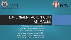 EXPERIMENTACIN CON ANIMALES Pablo Sergio Ruiz Alvarez 1588516