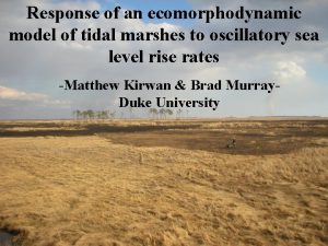 Response of an ecomorphodynamic model of tidal marshes