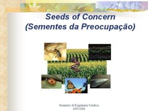 Seeds of Concern Sementes da Preocupao Seminrio de