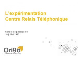 Lexprimentation Centre Relais Tlphonique Comit de pilotage n