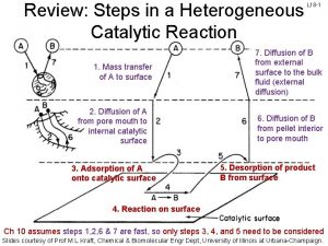 Review Steps in a Heterogeneous Catalytic Reaction 1