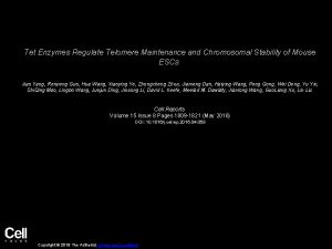 Tet Enzymes Regulate Telomere Maintenance and Chromosomal Stability