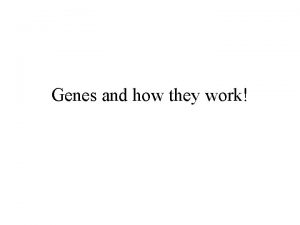 Genes and how they work Genetic Code How