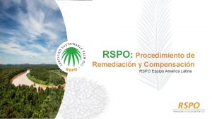 RSPO Procedimiento de Remediacin y Compensacin RSPO Equipo