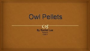 Owl Pellets By Rachel Lee Period 6 Code