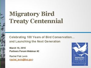 Migratory Bird Treaty Centennial Celebrating 100 Years of