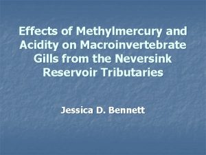 Effects of Methylmercury and Acidity on Macroinvertebrate Gills