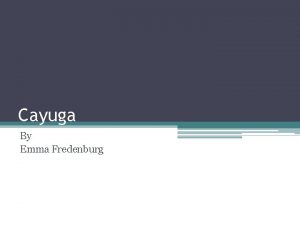 Cayuga By Emma Fredenburg Ceremonies and Festivals One