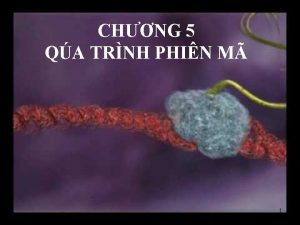 CHNG 5 QA TRNH PHIN M 1 1