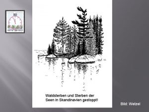 Waldsterben und Sterben der Seen in Skandinavien gestoppt