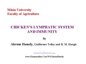 Minia University Faculty of Agriculture CHICKENS LYMPHATIC SYSTEM