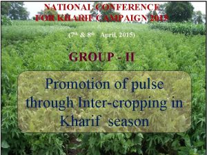 NATIONAL CONFERENCE FOR KHARIF CAMPAIGN 2015 7 th