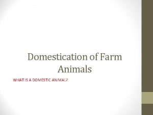 Domestication of Farm Animals WHAT IS A DOMESTIC