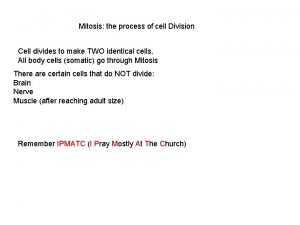 Mitosis the process of cell Division Cell divides