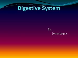 Digestive System By Jonas Laqua Parts of the