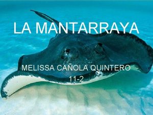 LA MANTARRAYA MELISSA CAOLA QUINTERO 11 2 MANTARRAYA