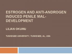 ESTROGEN AND ANTIANDROGEN INDUCED PENILE MALDEVELOPMENT LILIAN OKUMU