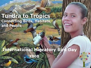 International Migratory Bird Day 2008 What is HABITAT