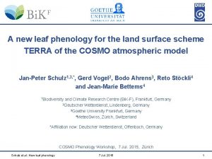 A new leaf phenology for the land surface