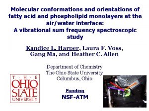 Molecular conformations and orientations of fatty acid and