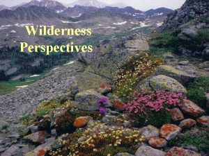 Wilderness Perspectives Birth Of A Nation Birth Of