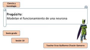 Ciencia y tecnologa Propsito Modelan el funcionamiento de