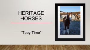 HERITAGE HORSES Toby Time THE BEGINNING Craigslist Raindrop
