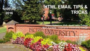 NWEUG 2016 HTML EMAIL TIPS TRICKS Tammy Robertson