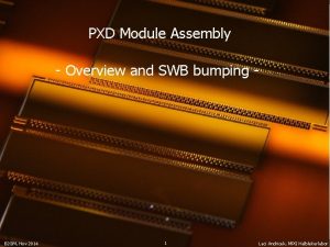 PXD Module Assembly Overview and SWB bumping B