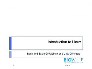 Introduction to Linux Bash and Basic GNULinux and