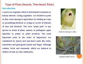 Type of Pests Insects Noninsect Pests Introduction A