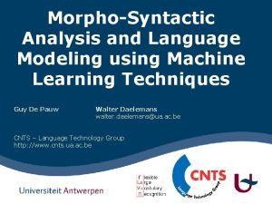 MorphoSyntactic Analysis and Language Modeling using Machine Learning