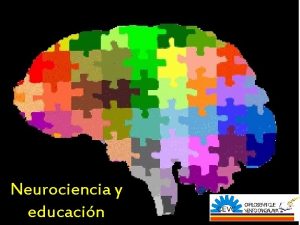Neurociencia y educacin INTELIGENCIA VERBAL 1 ASAC X