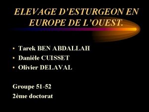 ELEVAGE DESTURGEON EN EUROPE DE LOUEST Tarek BEN