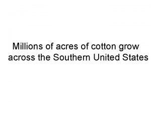 Millions of acres of cotton grow across the