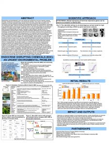 A High Throughput Zebrafish Embryo Gene Expression System