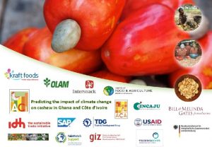 Predicting the impact of climate change on cashew