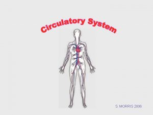 S MORRIS 2006 What is the circulatory system