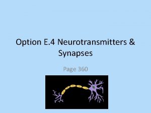 Option E 4 Neurotransmitters Synapses Page 360 Synaptic