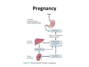 Pregnancy Pregnacy and cytochromes Drugs can induce expression