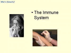 What is Immunity The Immune System Immunity Immunity