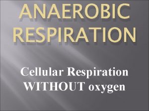ANAEROBIC RESPIRATION Cellular Respiration WITHOUT oxygen Cellular Respiration