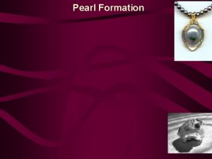 Pearl Formation Pearl Formation n n Pearls are