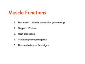 Muscle Functions 1 Movement Muscle contraction shortening 2