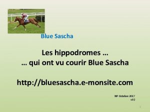 Blue Sascha Les hippodromes qui ont vu courir